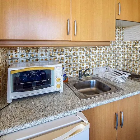 Pet Friendly In Apartment