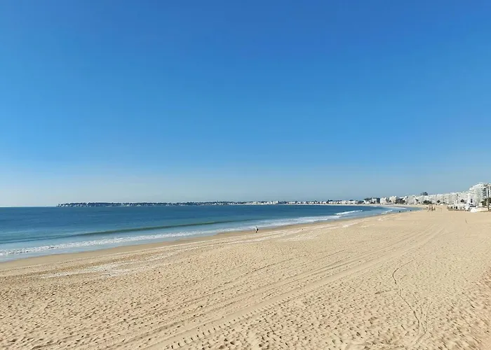 Pet Friendly In Appartement