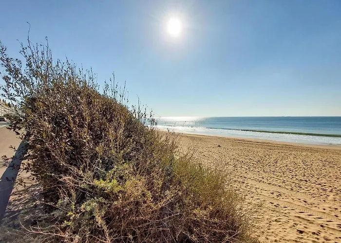 Appartement Pet Friendly In